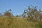 Oppidum Stradonice