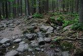 Čertovo jezero