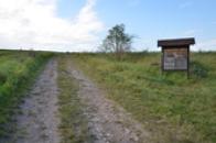 Oppidum Stradonice